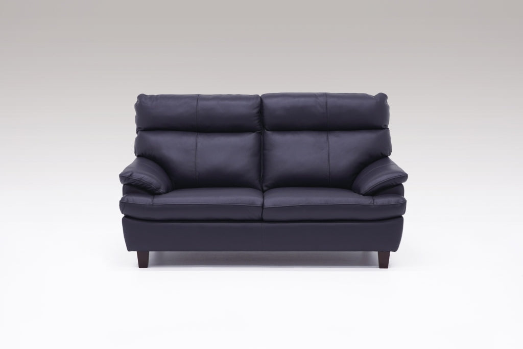 美品✨レイコージャパン　ソファー　おしゃれ　ふかふか　2P レイコージャパン – ひが家具